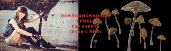соль курить ск Лабытнанги