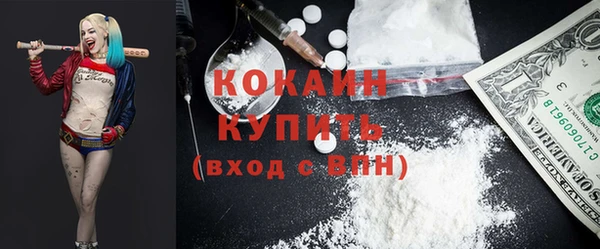 дживик Майский