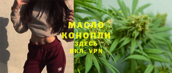 гидра Кулебаки